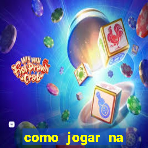 como jogar na teimosinha da lotofacil